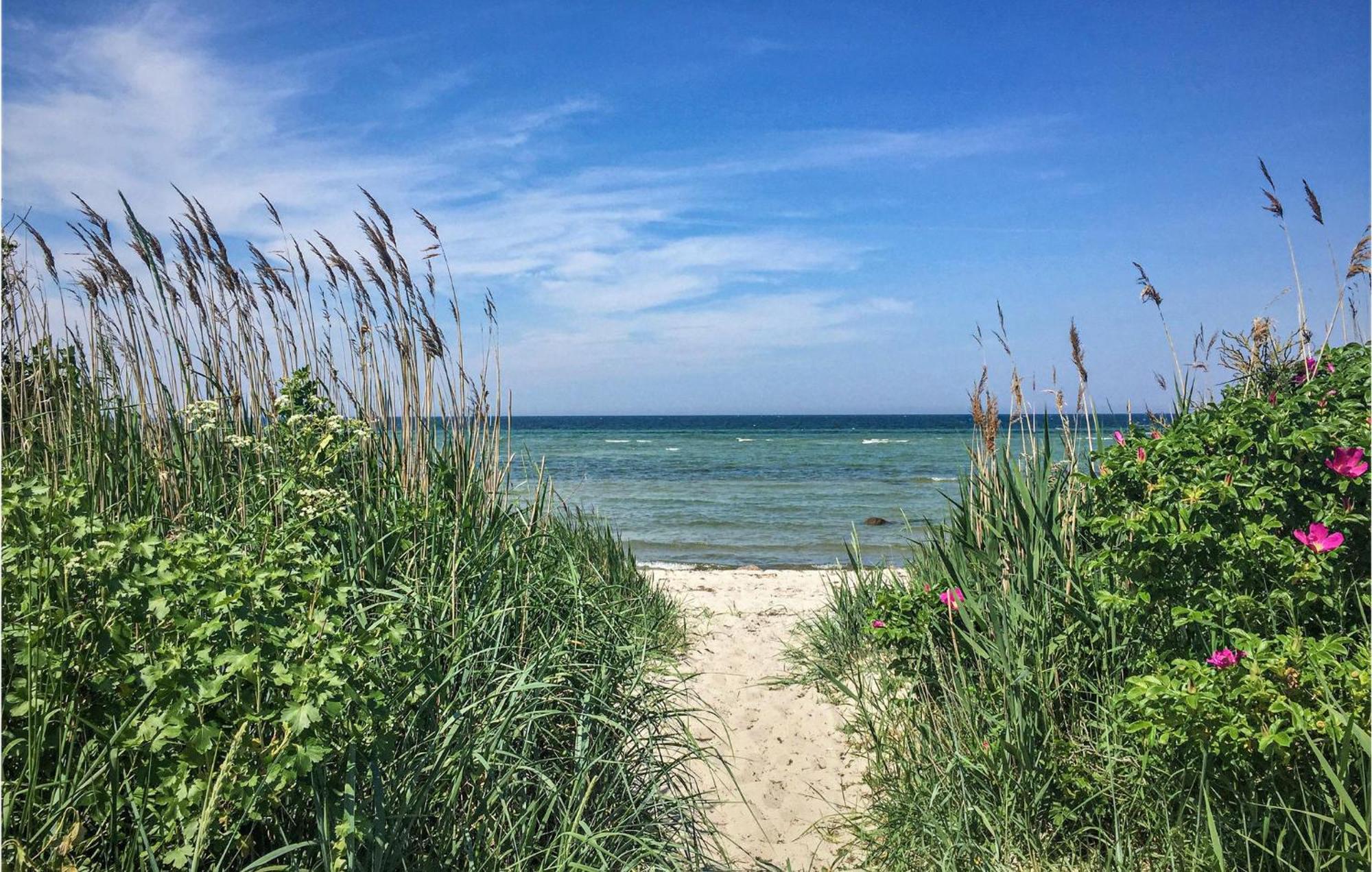 Strandhafer Lägenhet Gollwitz Exteriör bild